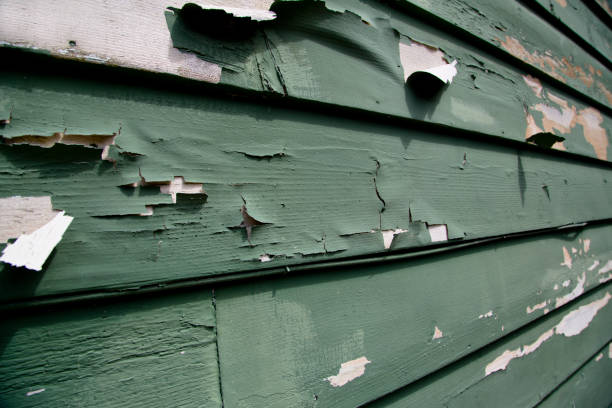 Best Property Management Cleanouts  in Raytown, MO