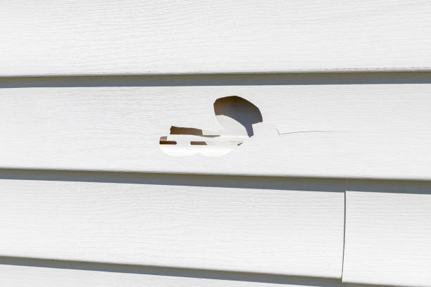 Best Demolition Debris Removal  in Raytown, MO